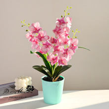 �¿�18�^С�����m�辰������滨�Ҿ�Ӱ���b[������Gֲ����