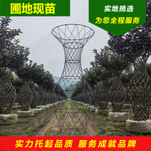 ��ƿ�������~���� ���~���^���͘� �|�����~���������һվʽ��ُ