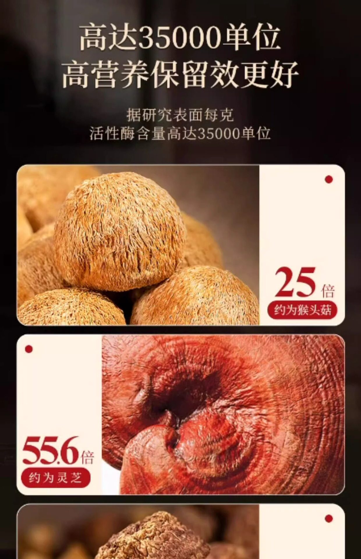 Wild Birch Chaga Mushroom 1000g Natural Sun Dried Siberian Inonotus obliquus for Decoction and Tea quality and texture