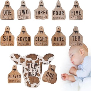 Highland Cow Milestone Markers�ߵ�ţ�����՚v��ӛ�yӋ�˺�����