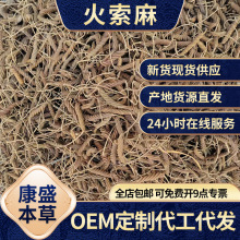 现货批发散装500g包邮火索麻草药山货虫草王 野芝麻麻纽塞扭索麻