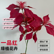 һƷ�t��c�����~���Ĕz�����b����҃����컨�ٻ��c���b����]