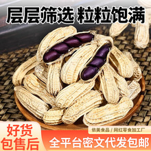 代发富硒黑花生带壳黑皮花生水果黑衣花生袋装云南特产黑花生特级
