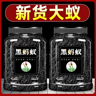 ���ں�Λρ��ș�ĔM�ڶ��ρ����Λρ�ɺ�Λρ������