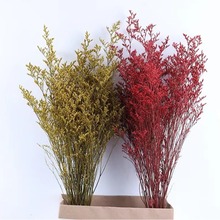 ˲ݸɻɫֹDIYϼҾӔ[cb