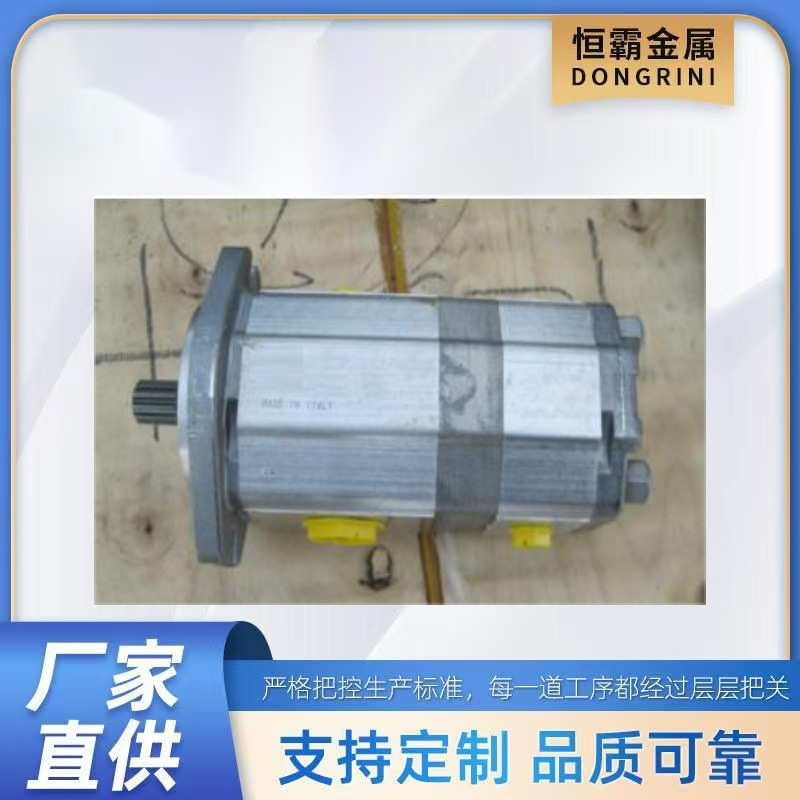 PUMP,LIFT,2 SECTION**双联泵For GENIE T110129