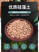 硅藻土多肉铺面石物理杀虫剂不粉化硅藻颗粒专用拌土种植石营养土