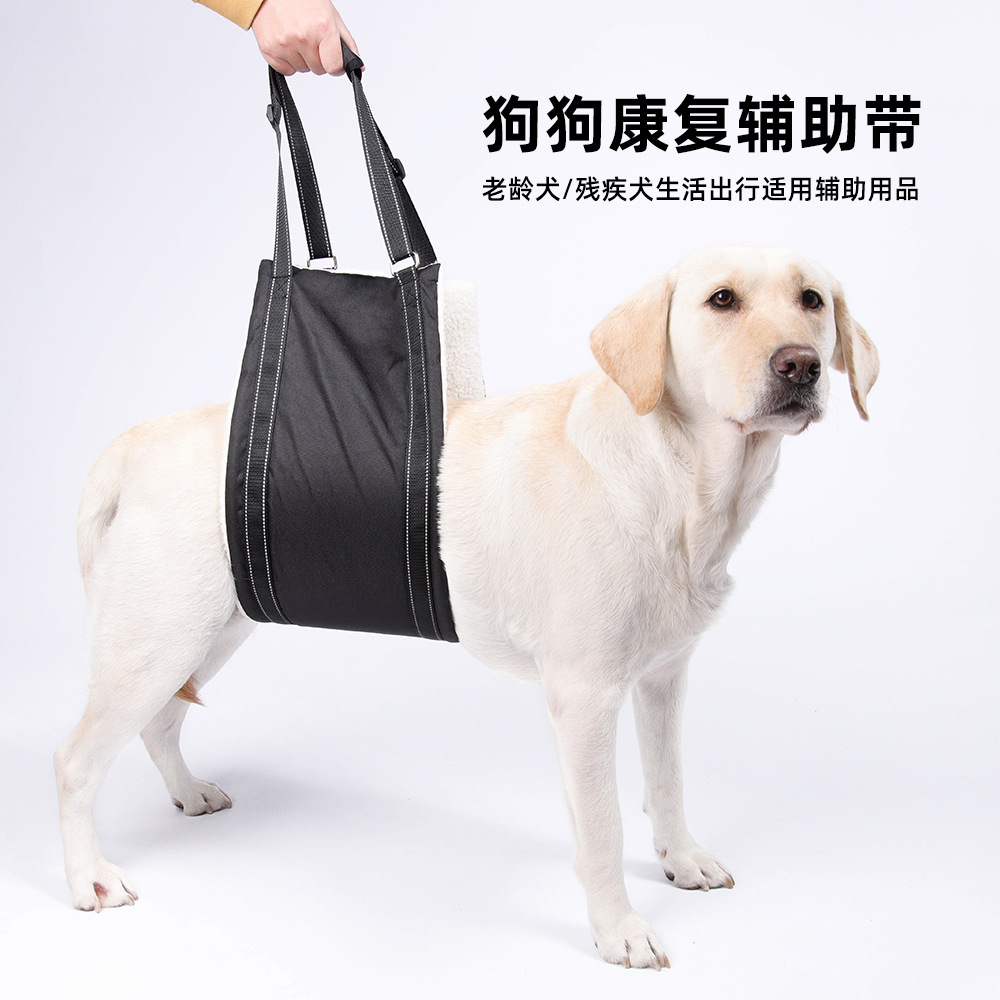 Amazon explosiva ayuda para mascotas con correa de viaje al aire libre para perros mayores correas de pecho de rehabilitación para perros discapacitados al por mayor