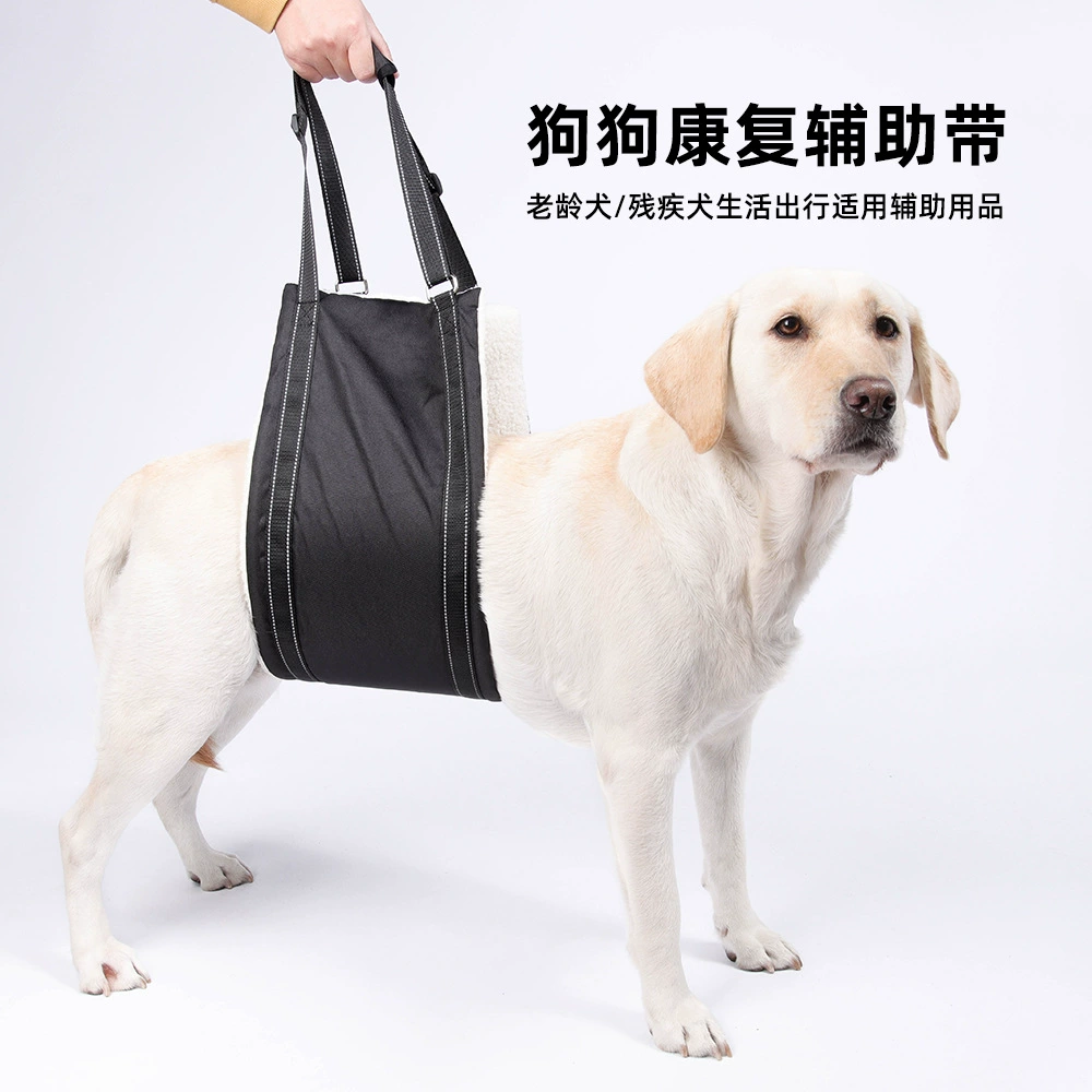 Амазонка взорвала питомца с пожилой собакой на открытом воздухе