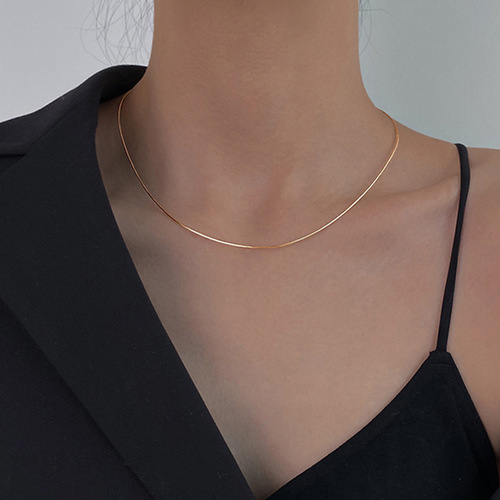 S925 Silver Serpent Bone Chain Necklace for Women, Cool Style, Bare Chain, Light Luxury, High-Grade, Lockchain, Unique Design, Simple Necklace