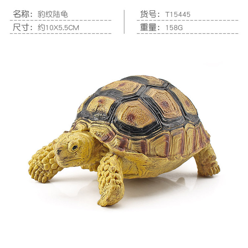 Transfronteriza Nueva simulación anfibio reptil modelo tierra tortuga elefante tortuga estrella tortuga estática decoración cognitiva decoración juguete