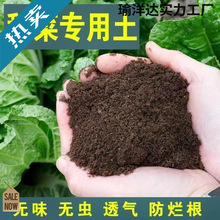 ��ͥ�ֲ�Ӫ������̨����ר�����л��������߲���ֲ�����������