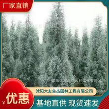 �������l �Ԯa���N�{������ ���^�쾰��·�@�ֹ��̾G����