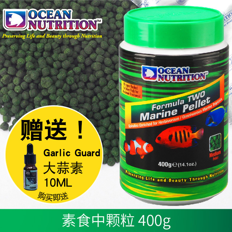 Végétarien - Grain moyen 400g (livré avec un protecteur d'ail 10ML)