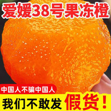 【精品】四川正宗愛媛38號晚熟果凍橙新鮮孕婦水果當季橙子甜柑橘