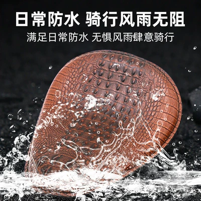 Cruise Prince Accessories Retrofit Retro: Motorcycle cushion