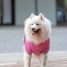 �����ﶬ�ӽq��ů���_���_ĦҮ��ë߅����Ȯ���������д���Ȯ�·�