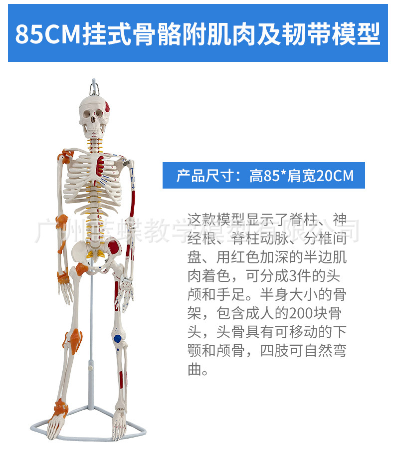 详情_21