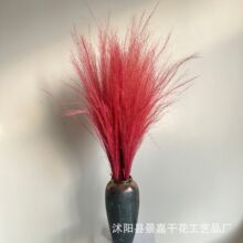 �W�t�����Ӂy�Ӳݸɻ�����ins�߼��б�����Y�͏d�[��