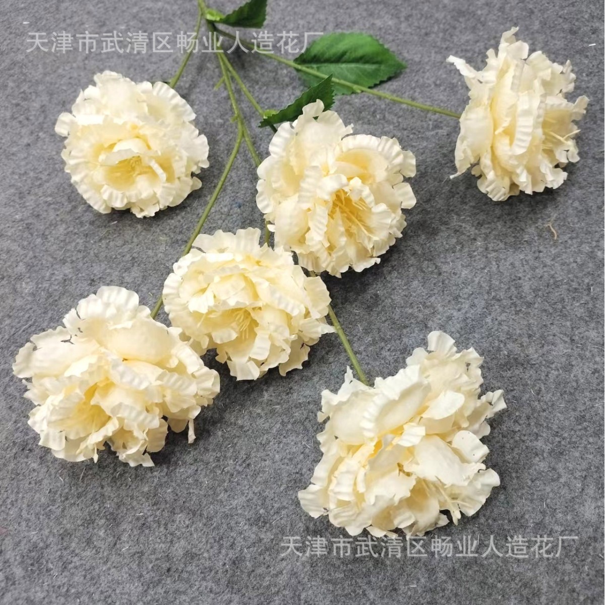 6 heads of champagne