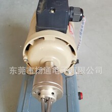 磁环电感剥皮机 马达铜线脱漆机机器台