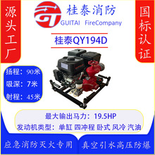 ̧C194D19.5R65ڏS^rù