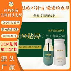 ホルモンによるニキビの除去と改善、顔の毛穴の拡大とニキビ肌の改善をカスタマイズした映画館と同じビューティーパウダーセット、メーカー卸売