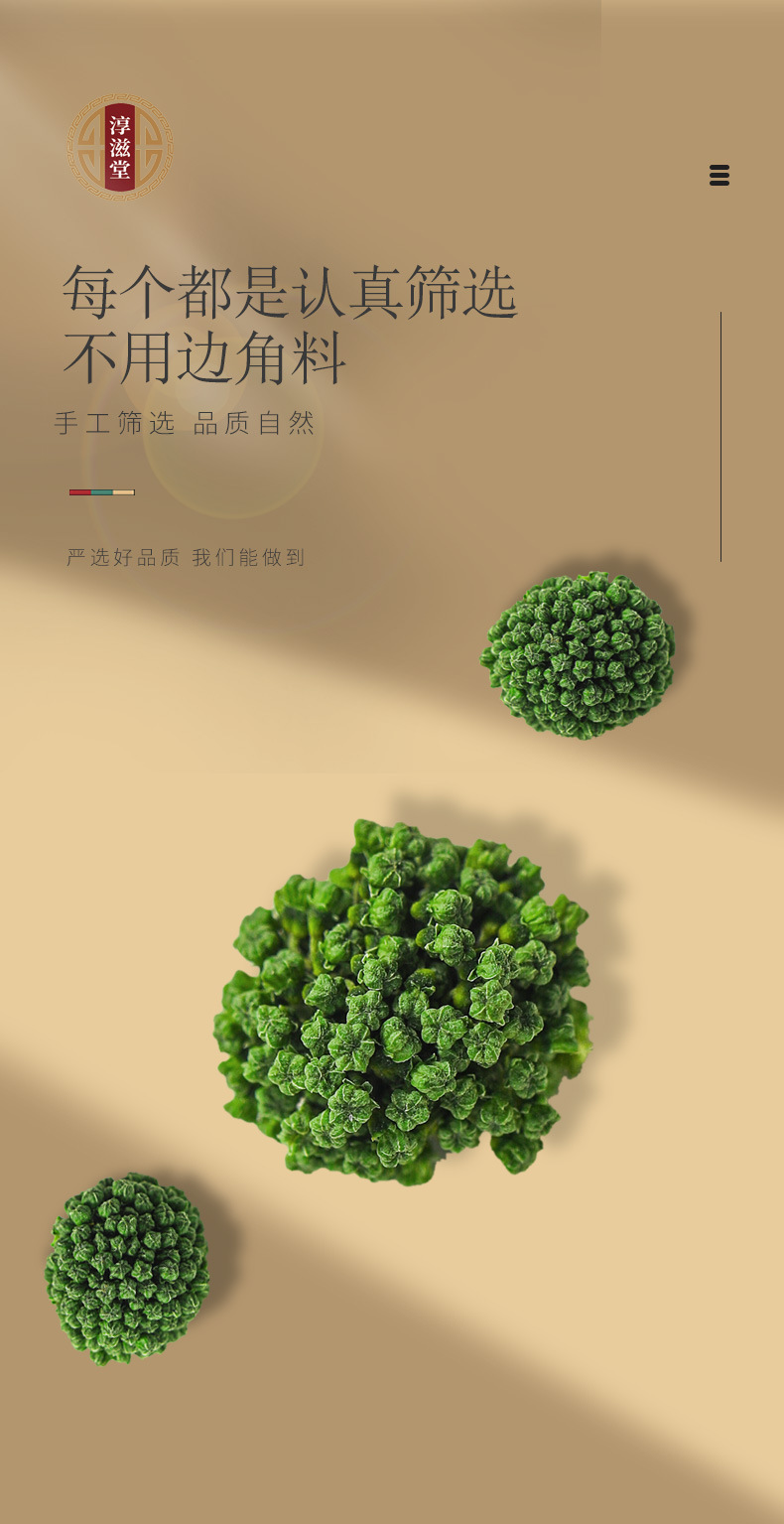 Panax notoginseng _07 jpg