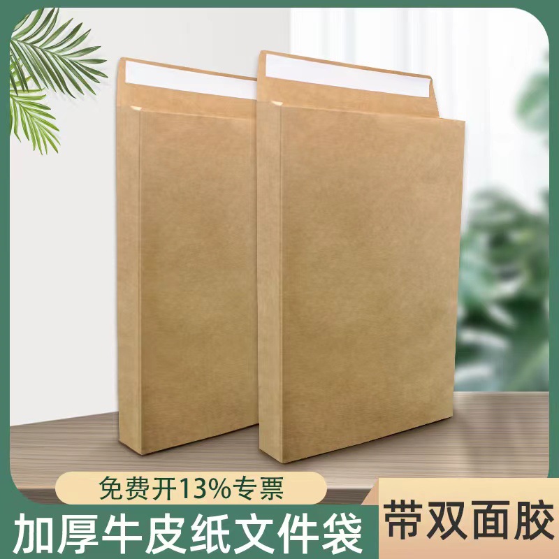 牛皮纸文件袋2