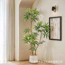 �p�ݱ��W�����ȸľ���Ԙ�֬���������k������ؔ[���߶��bGֲ