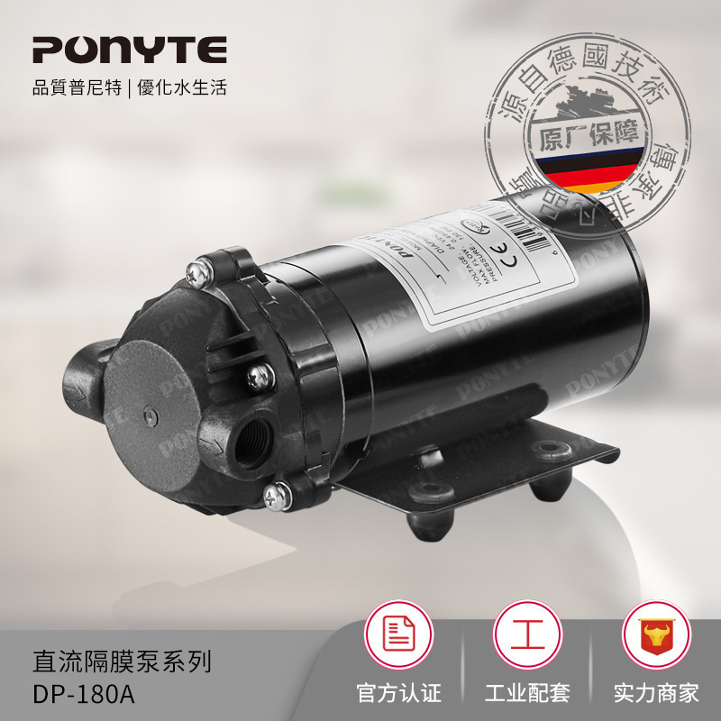 Shanghai Manufacturer Dp-150/180 Micro Electric Diaphragm Pump Dc Pump 12V24V Water Pump Water Purification Spray Pump