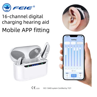 �w�Z�羳����ʽ����� ��16ͨ�������֙CAPP�� ��hearing aid