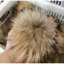 2026����ë�������Ƥ��18���״�ë��ñ����ë�����Ʒ�R��