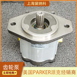 美国РGР620А0160СD1Н3NЕ6Е5В1В1B1齿轮泵PARKER派克PGP