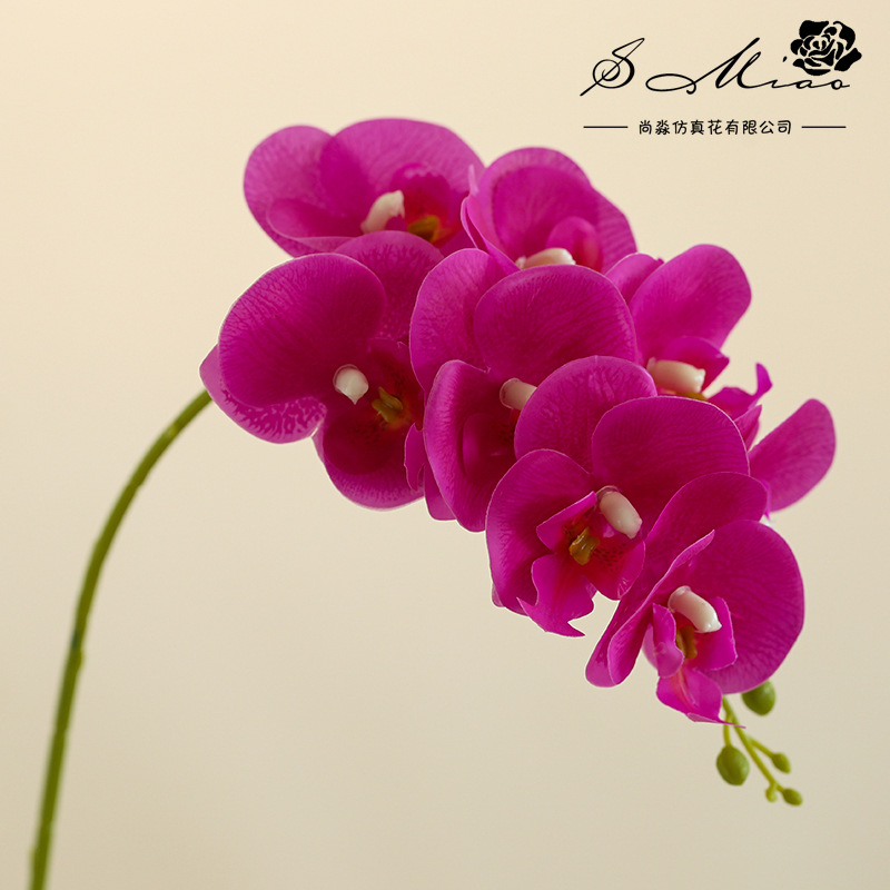 8 flores 3 hojas se sienten Phalaenopsis bonsai flor artificial de gama alta sala de estar decoración floral artificial en maceta flor artificial image 11