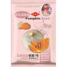 冯子龙种业厂家直售批零基地大棚蔬菜 马来西亚银栗1号西洋南瓜F1