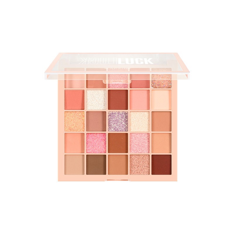 Matte eyeshadow palette reusable