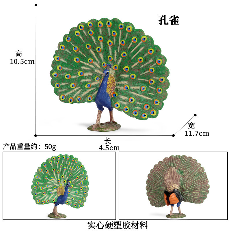 1434 Peacock