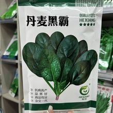 ڰsһ˷Nͳֱ̦ԏA~񲤲˴N