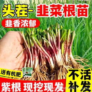 �¾²˸����ϸ����~�ļ������F�ڼ��~�����߲��ļ��Nֲ�²����l