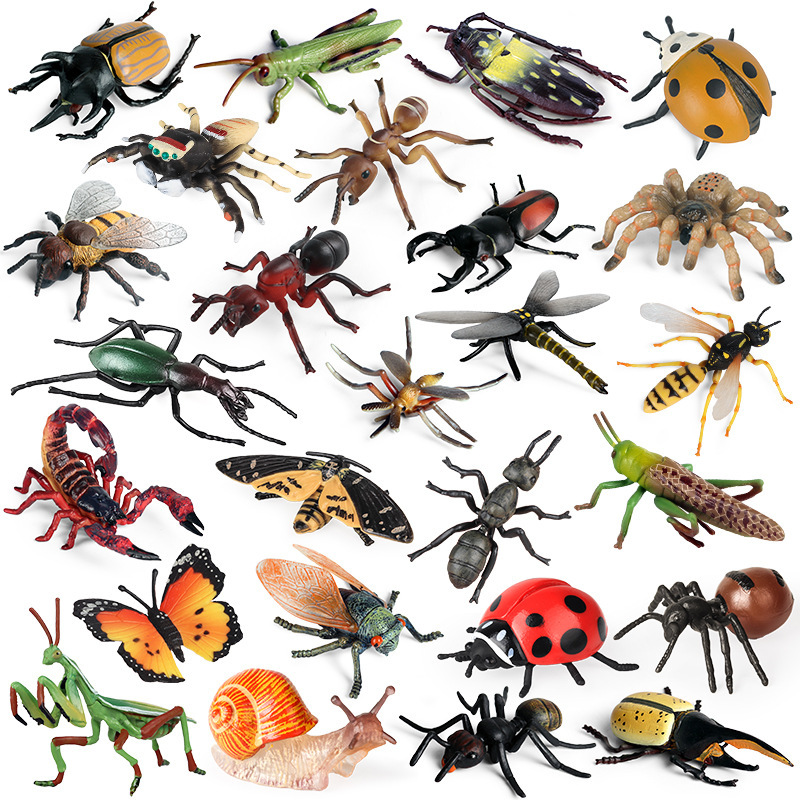 Children's Cognitive Solid Simulation Insect Model Toys: Ants, Spiders, Dragonflies, Butterflies, Bees, Lizards, Snails, Beetles Children's Cognitive Solid Simulation Insect Model Toys: Ants, Spiders, Dragonflies, Butterflies, Bees, Lizards, Snails, Beetles