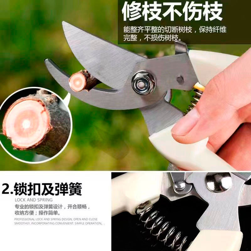 Fábrica en stock jardín poda tijeras rama tijeras especiales de ahorro de trabajo flor rama tijeras fruta árbol poda herramientas especiales