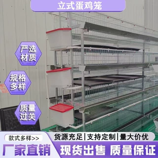 H型立式蛋鸡笼结构四层四门肉鸡笼大型禽类养殖场自动养殖蛋鸡笼