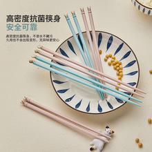 ���l�����^��ͨ�Ͻ���� ���ò�ɫ�Ͻ���� �ɐ���Ȥ�;߿������b