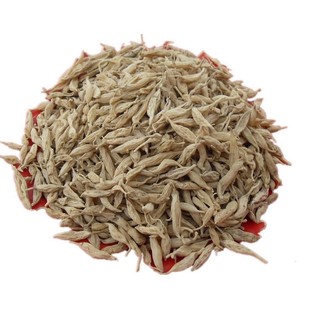 ���� ��������������Ǵ����T����500���l��؛��؛