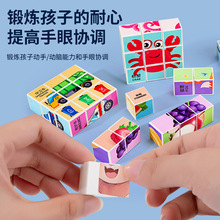 儿童磁力积木方块拼图六面画益智动物卡通立体霸王龙拼图玩具礼物