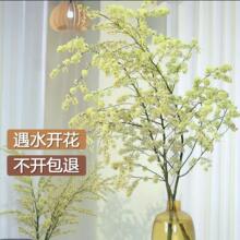 ɽ����ľ����ˮ���r��֦��ˮ�_���҃ȑ����b�������������ֱ�l