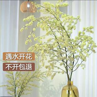 ɽ����ľ����ˮ���r��֦��ˮ�_���҃ȑ����b�������������ֱ�l