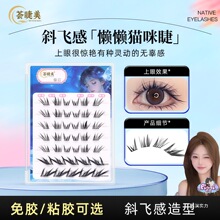 �C�������Б�؈�䡿б�w3+1�M�Ͽ��ճ������