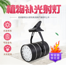 ȫ���Vֲ�����L�a��A�ӟ��lؔ���o�~����ֲ�ﻨ��ˮ���a���